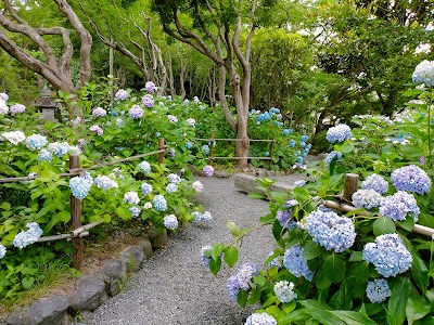 Daian-ji Temple - 6