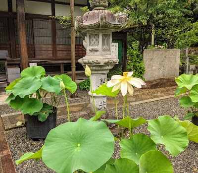 Sarusa-ji Temple - 3