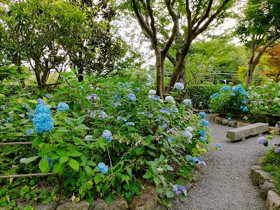 Daian-ji Temple - 4