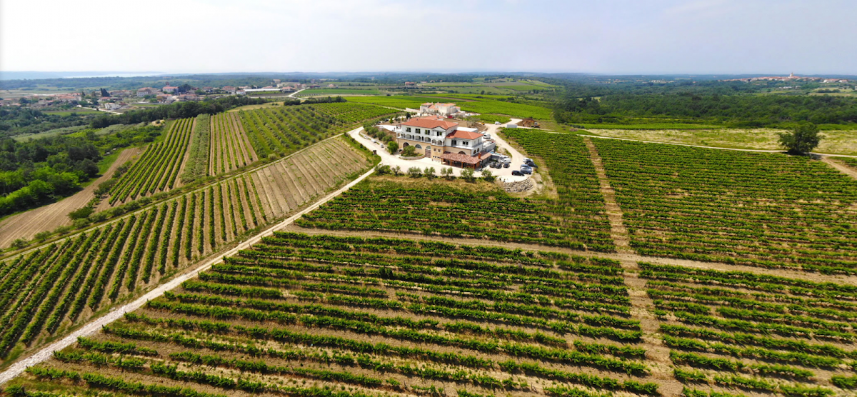 Cattunar Winery