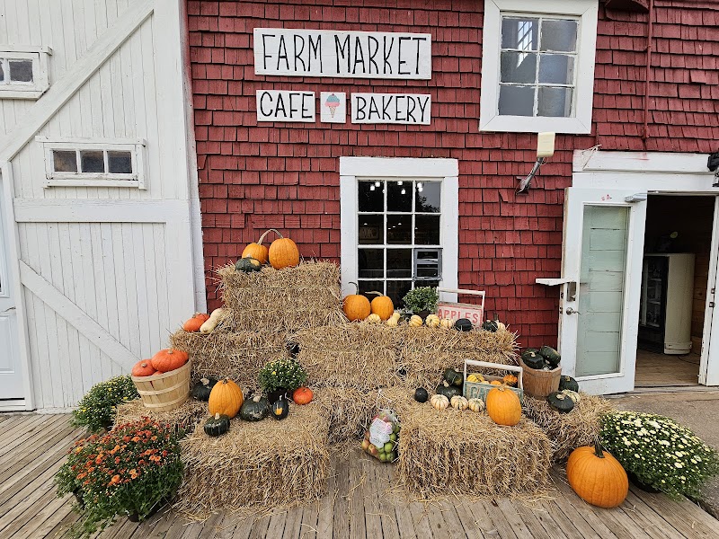 Dempsey Corner Orchards photo 1