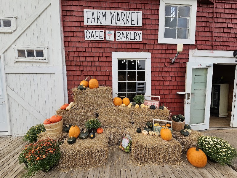 Dempsey Corner Orchards photo 1
