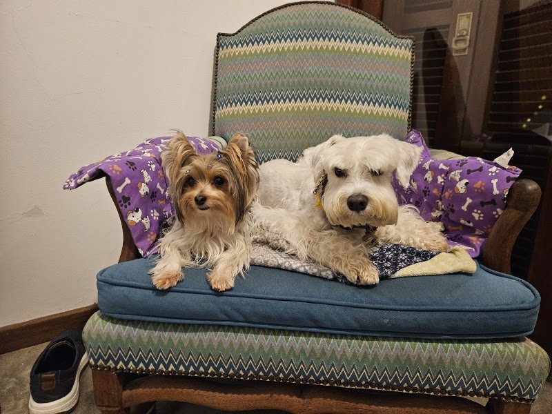 Foto de MVET - Clínica Veterinária Mobini