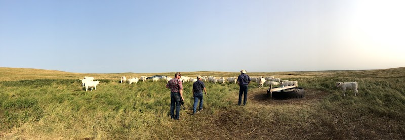 Lindskov-Thiel Ranch - Photo 3