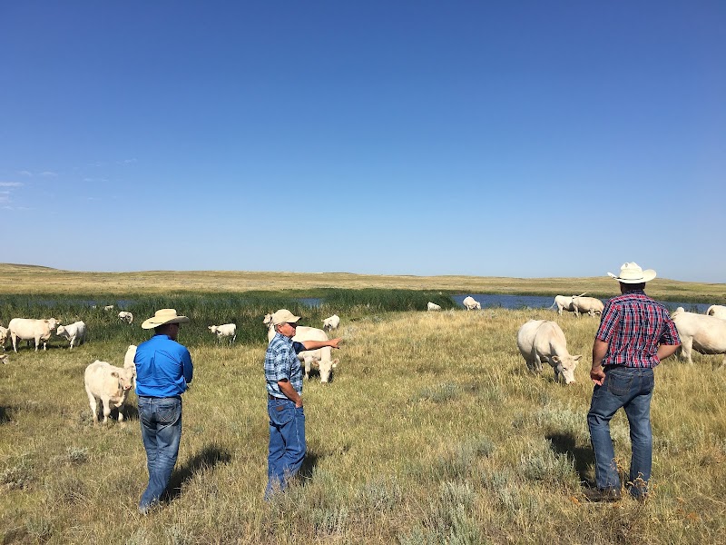 Lindskov-Thiel Ranch - Photo 2