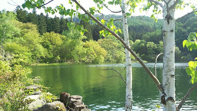 Chikuma Kogen Country Club - Photo 5