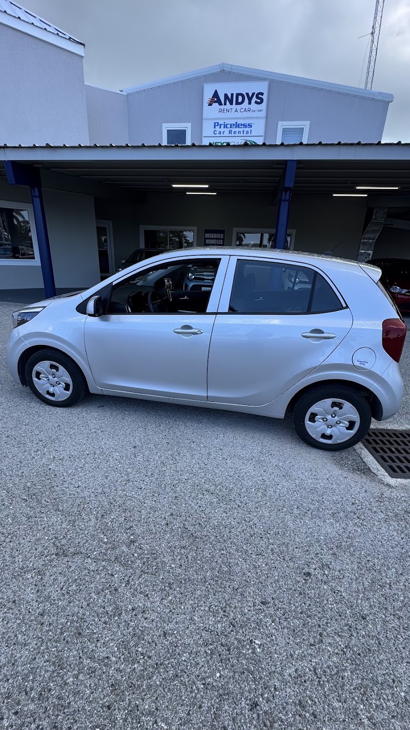 Andy's Car Rental