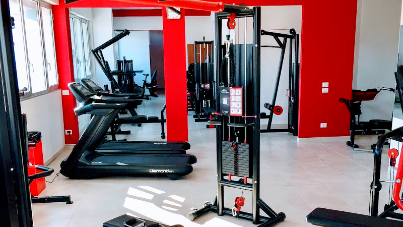 TheOne - Your Fitness Place (Società Sportiva Dilettantistica)