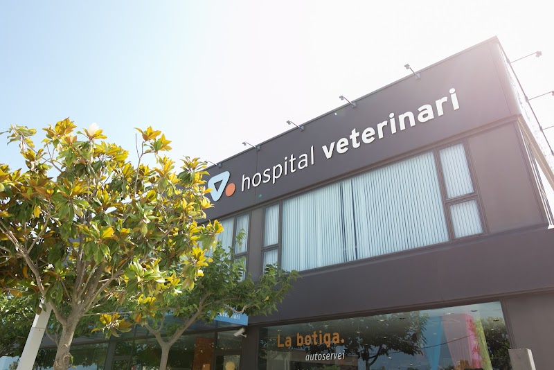 Medivet 24 Horas Santa Susanna