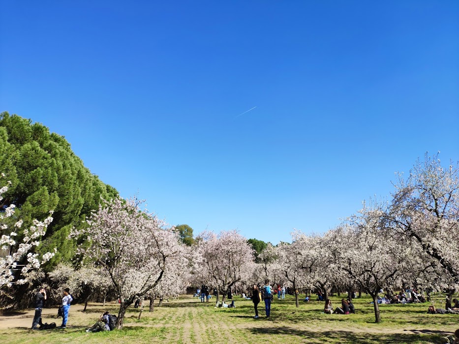 Parque de la Quinta de los Molinos fotoğraf 1