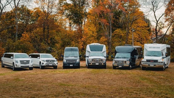 Roman Limousine portfolio