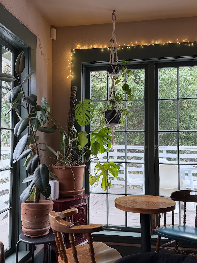 Maplewood Coffee & Tea photo 2