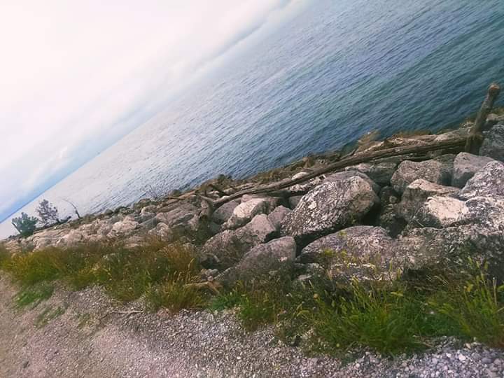 Pointe Mouillee State Game Area
