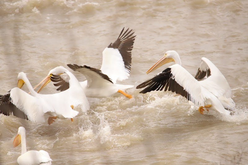 Falls On the Brazos Park photo 4