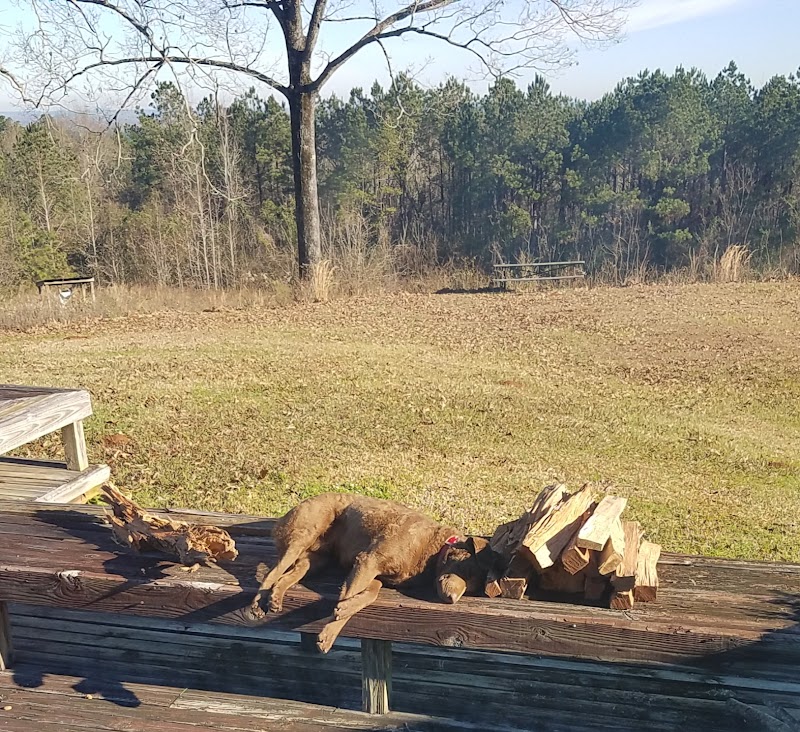 Riverbend Hunting Lodge - Photo 6