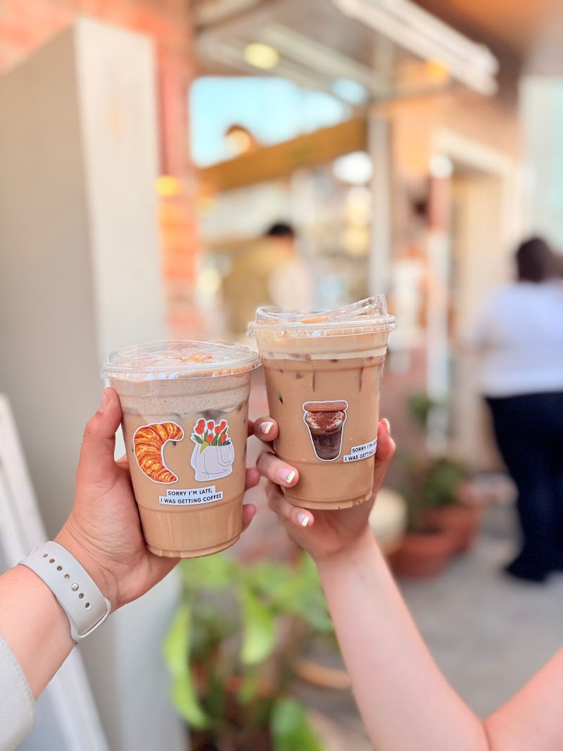 Corteza Madre photo 4