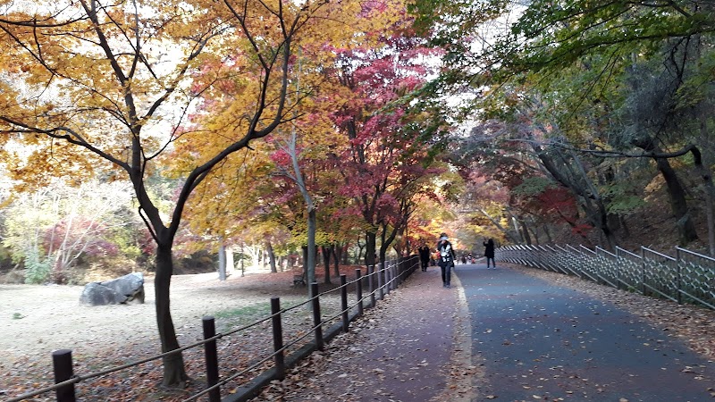 보문산 반려동물 동반 여행지