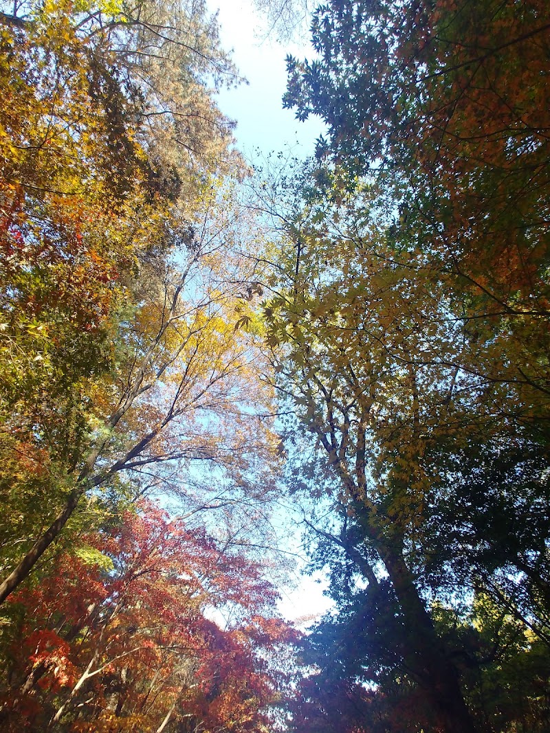 보문산 사진 2