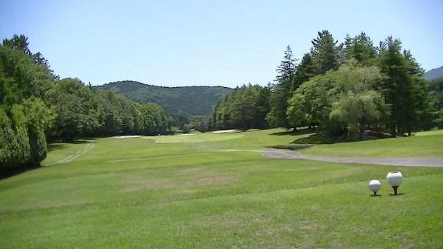 Golf 5 Country Kasama Forest - Photo 4