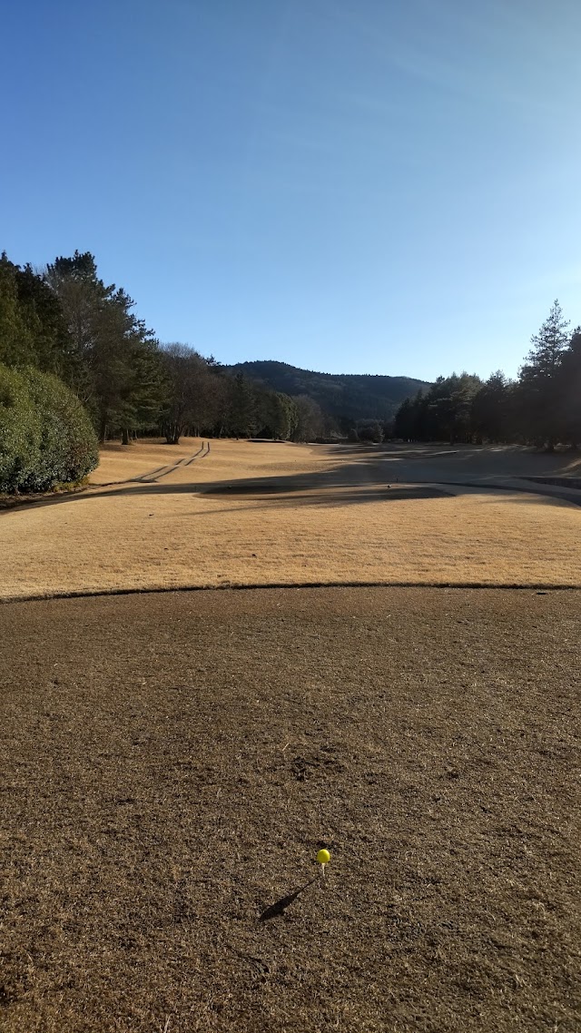 Golf 5 Country Kasama Forest - Photo 8