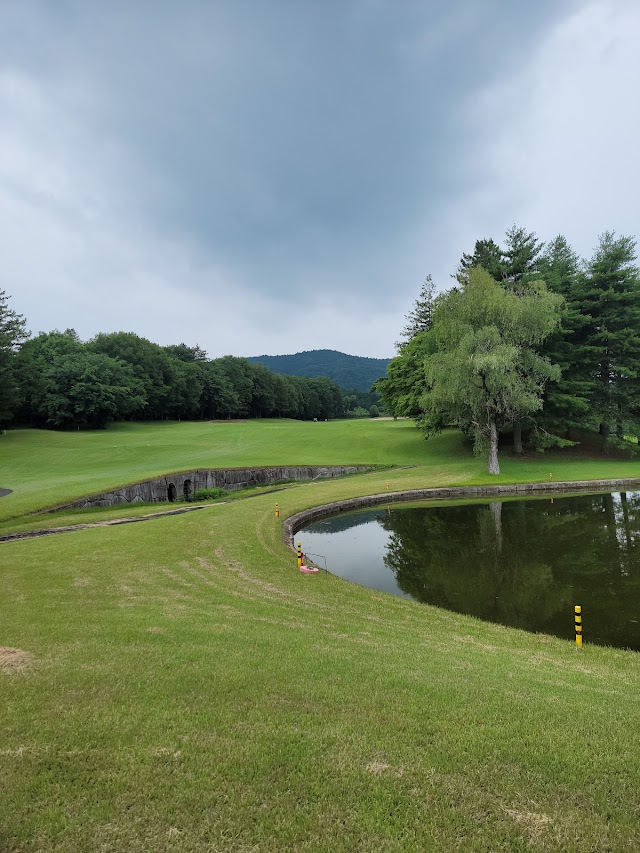 Golf 5 Country Kasama Forest - Photo 2