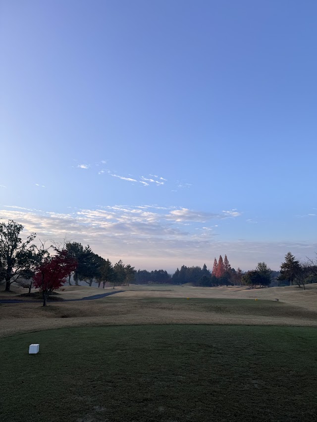 Century Golf Club - Photo 8