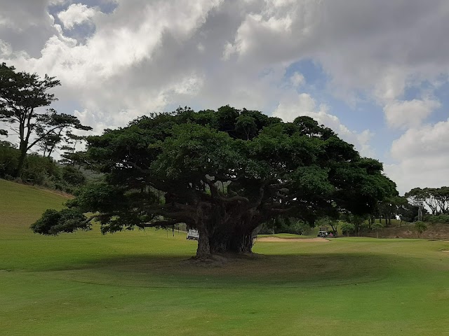 Bel Beach Golf Club - Photo 9