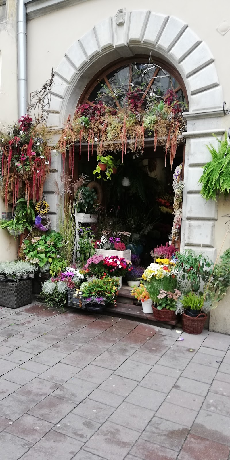 Floristica