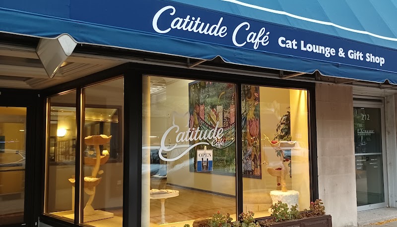 Catitude Cafe