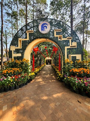 Cu Chi Tunnel