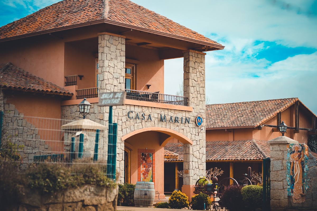 Viña Casa Marin