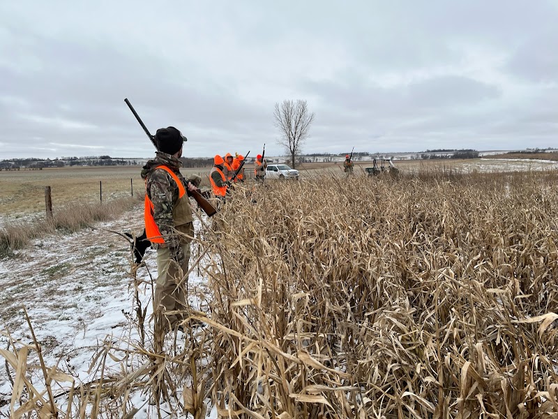 Al’s Dream Pheasant Hunting - Photo 1