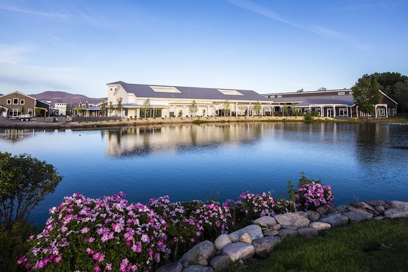 Dolce Vita Wellness Spa