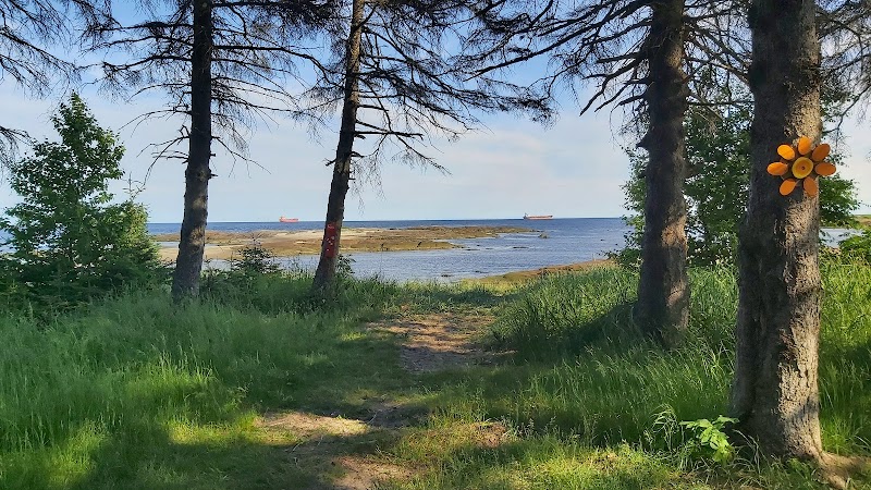 Cafe Graffiti photo 3