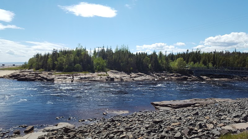 Cafe Graffiti photo 2