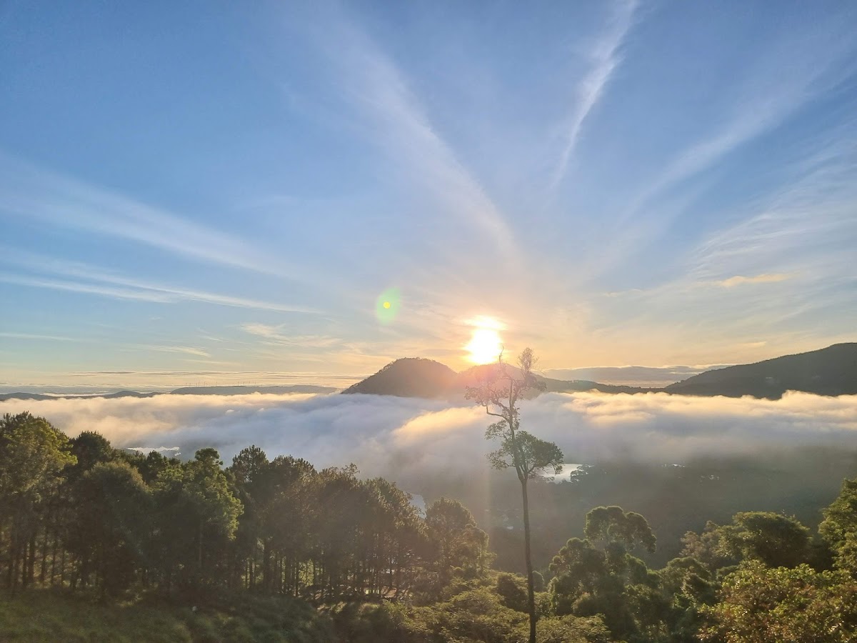 Sivananda Yoga Resort and Training center — 3