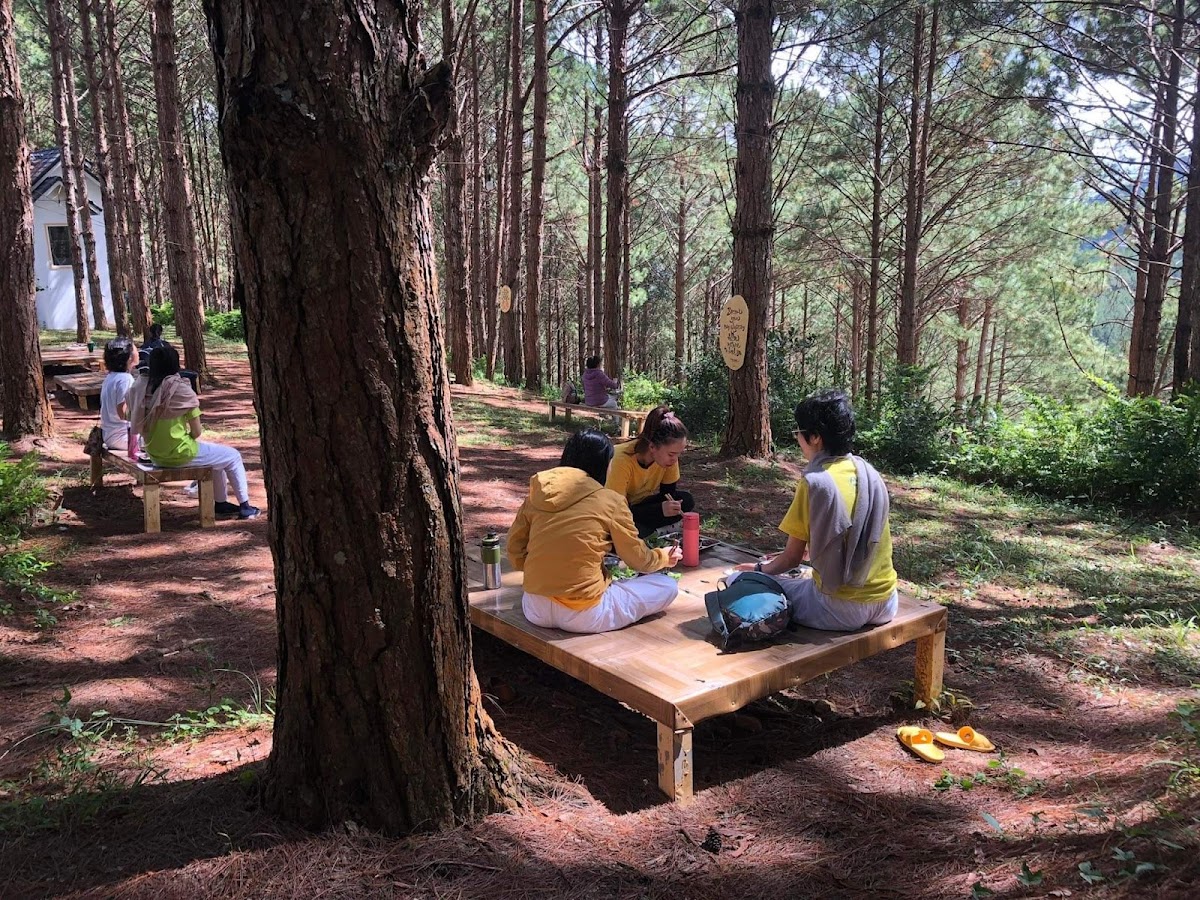 Sivananda Yoga Resort and Training center — 4
