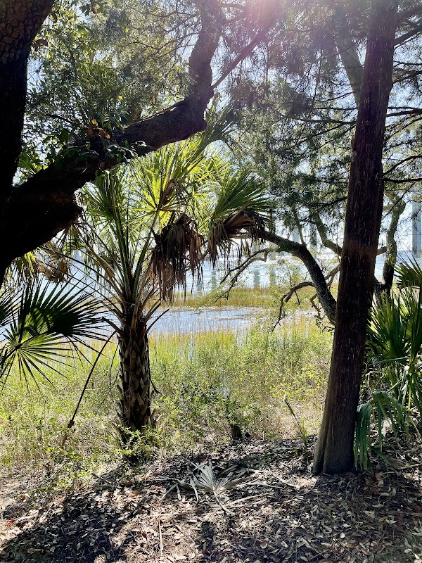 Daniel Island Recreation Center photo 4