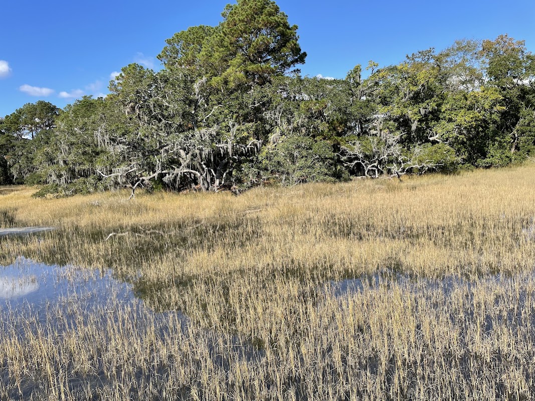 Daniel Island Recreation Center photo 5