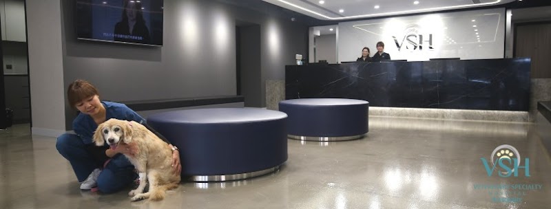 VSH (Veterinary Specialty Hospital) Kowloon 專科獸醫醫院