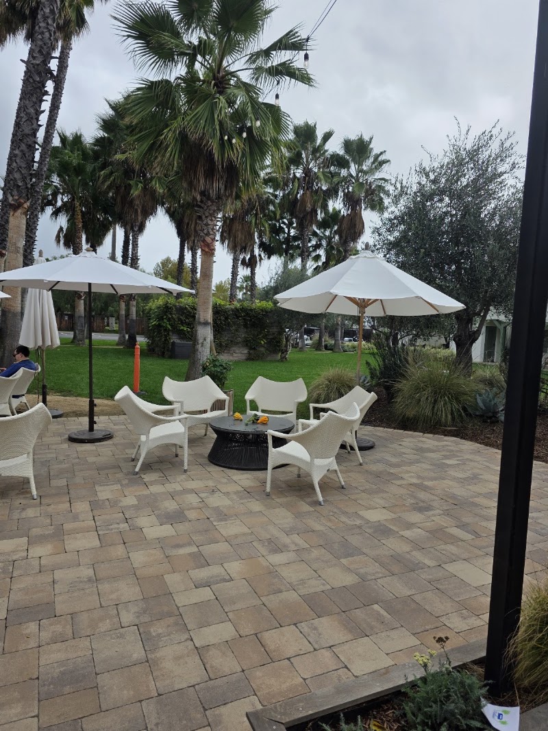 La Palmeraie Lounge photo 4