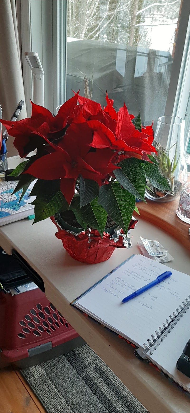 Delorme Garden Center photo 3