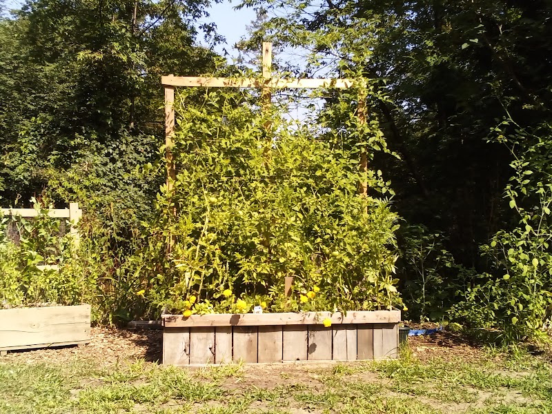 Delorme Garden Center photo 2