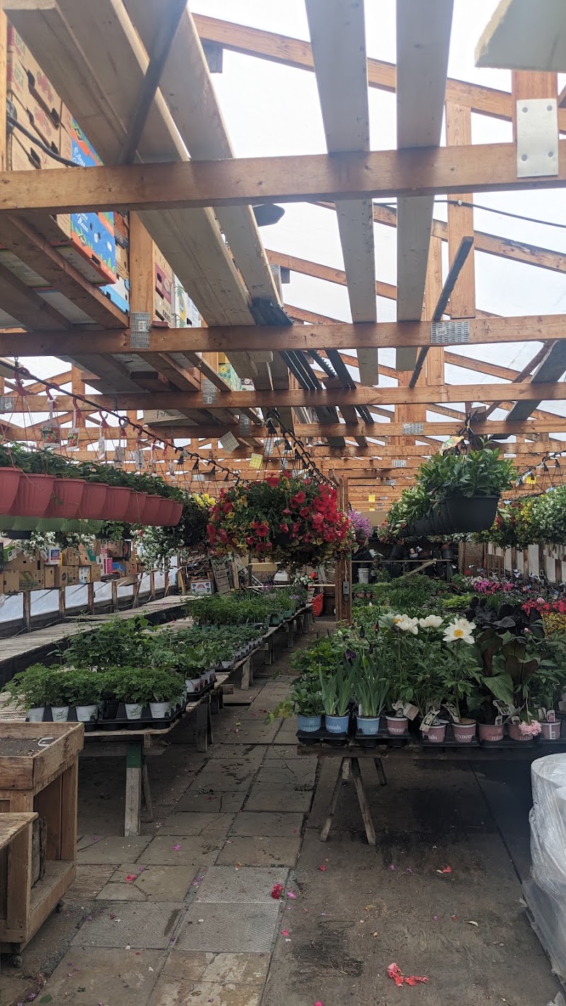 Delorme Garden Center photo 1