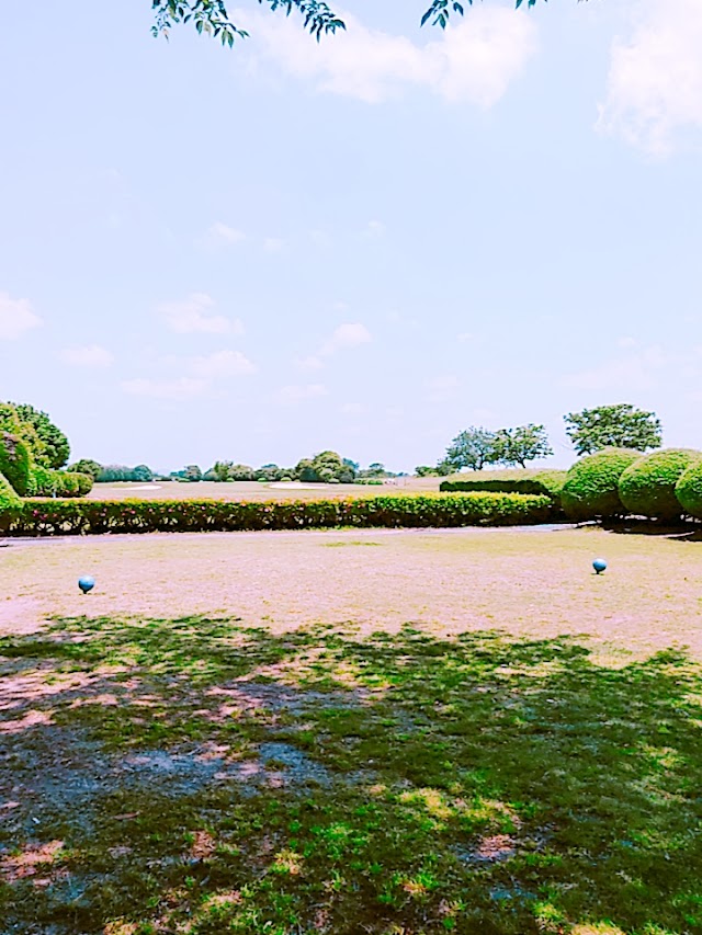 Anpachi Country Club - Photo 7