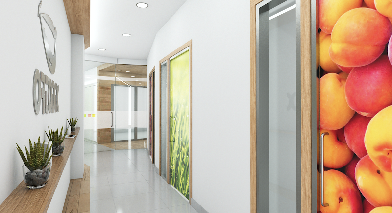 ORTODIX CARBALLO photo 3