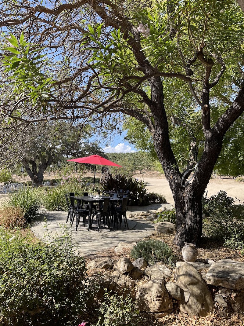 Cass Winery photo 4