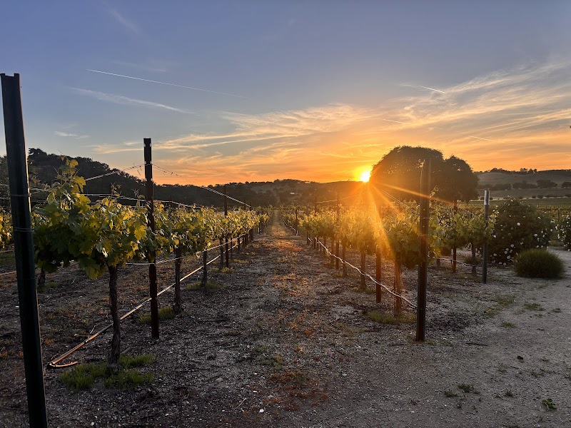 Cass Winery photo 3