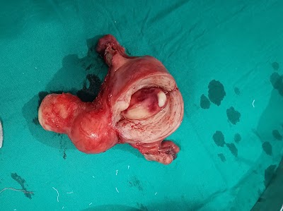 Dr Naveen Goyal. - Image 3