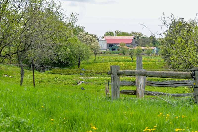 Willowtree Farm photo 2